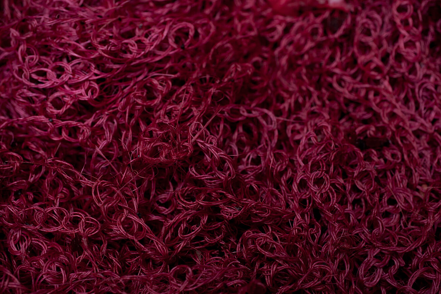 HUITILLO 48_galeria56 _MG_5088.jpg